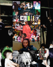 Load image into Gallery viewer, Playboi Carti Poster #1